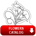 Download the Flowers Catalog